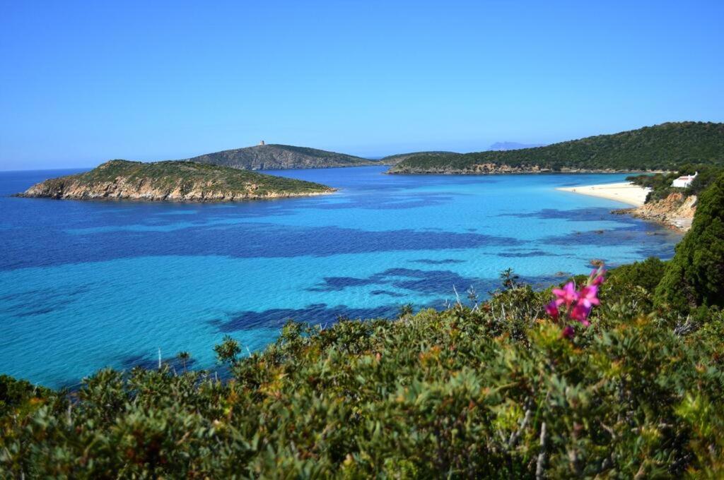 Eco Village Baia Delle Ginestre Teulada Luaran gambar