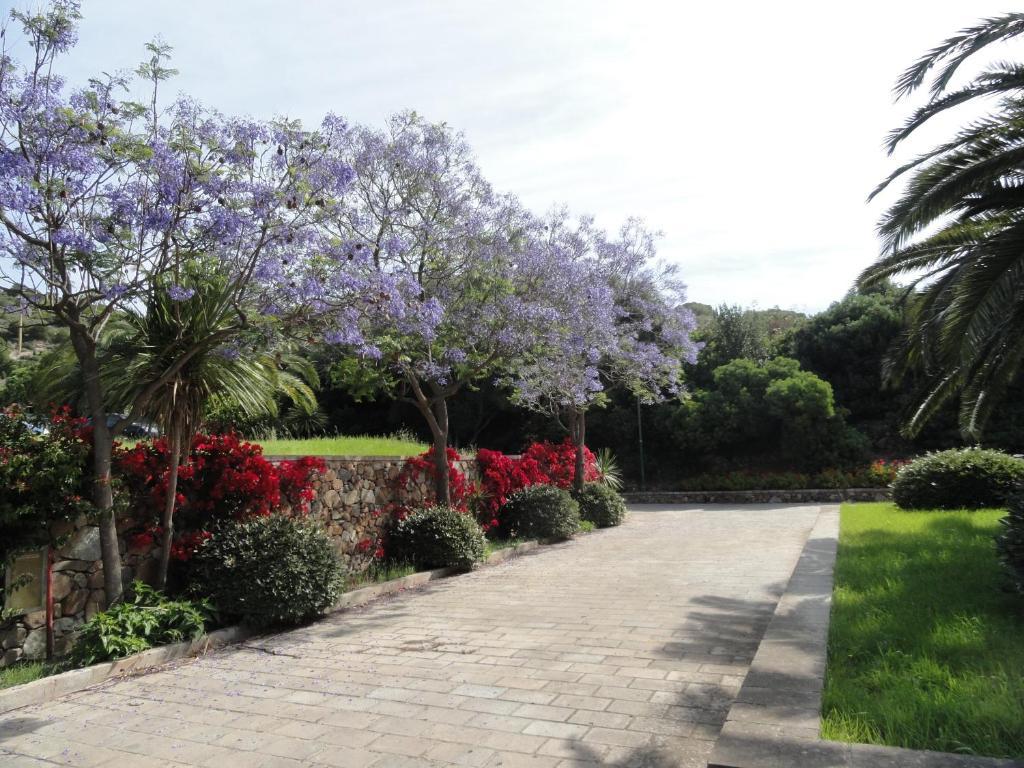 Eco Village Baia Delle Ginestre Teulada Bilik gambar